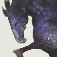 cavallo3